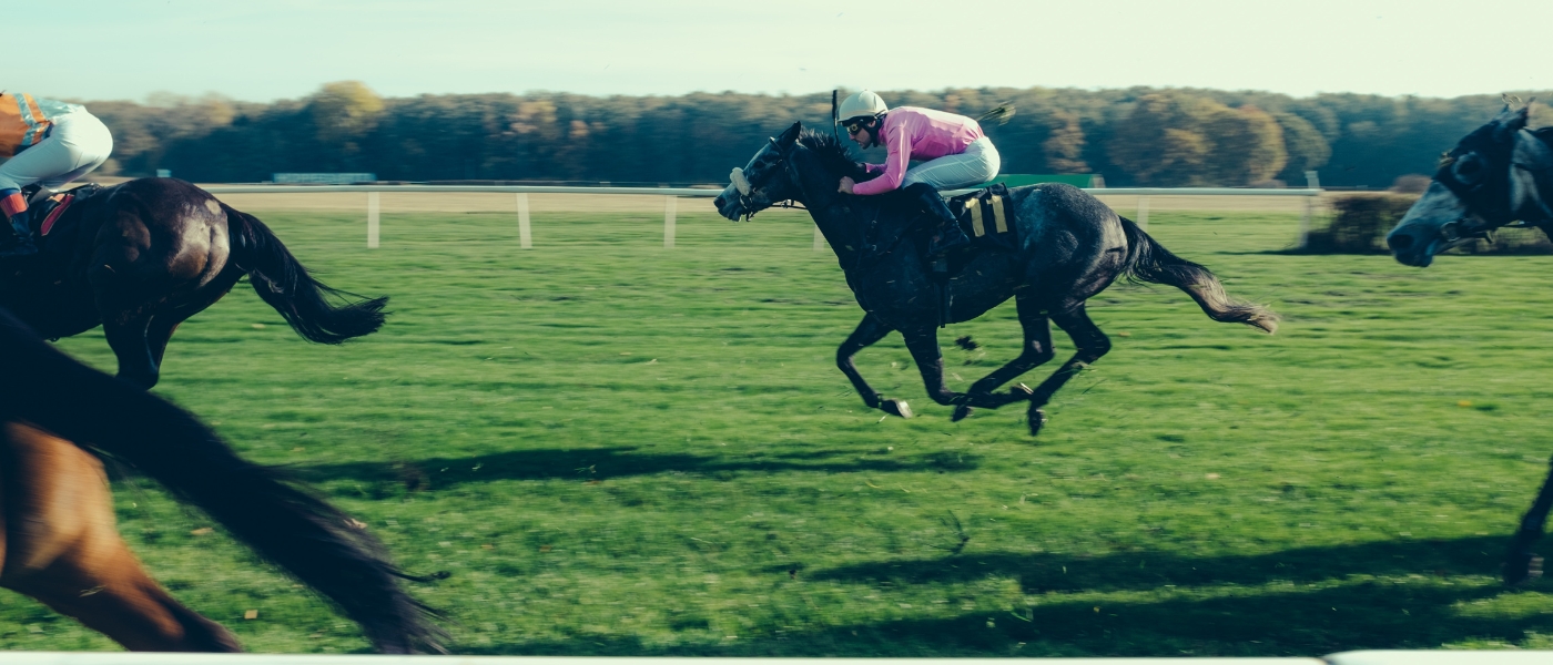 Horse Racing (1)