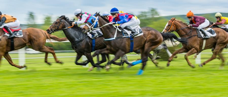 Grand National